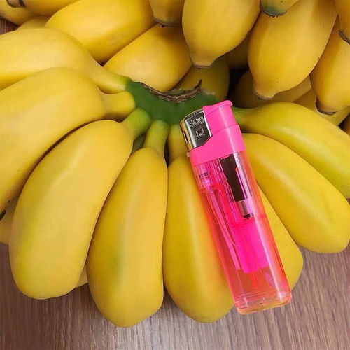 貴州糯米香蕉 一咬難忘的甜美農(nóng)業(yè)之旅