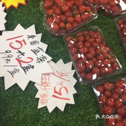 順德區(qū)美食與新鮮水果批發(fā)攻略